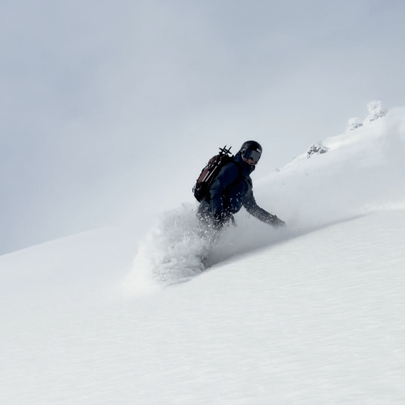 Penguin Powderwear Shell Women action Freeriden