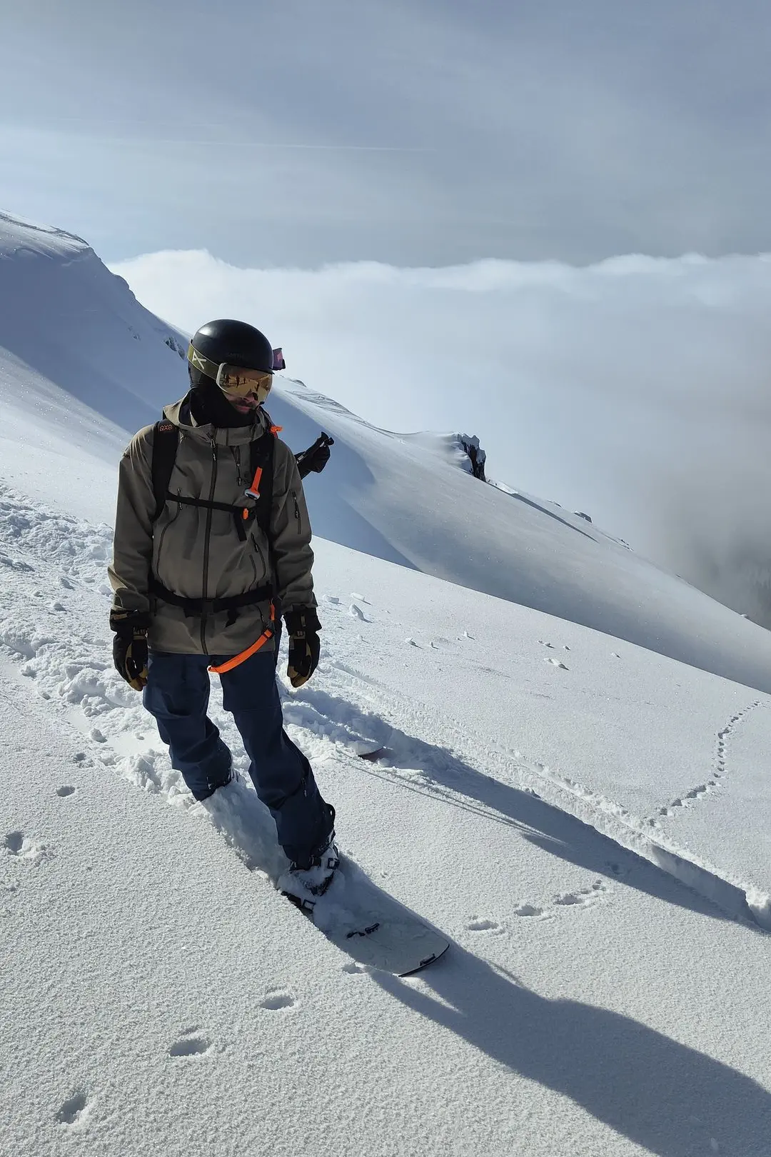 Penguin Powderproject Project X Georgia