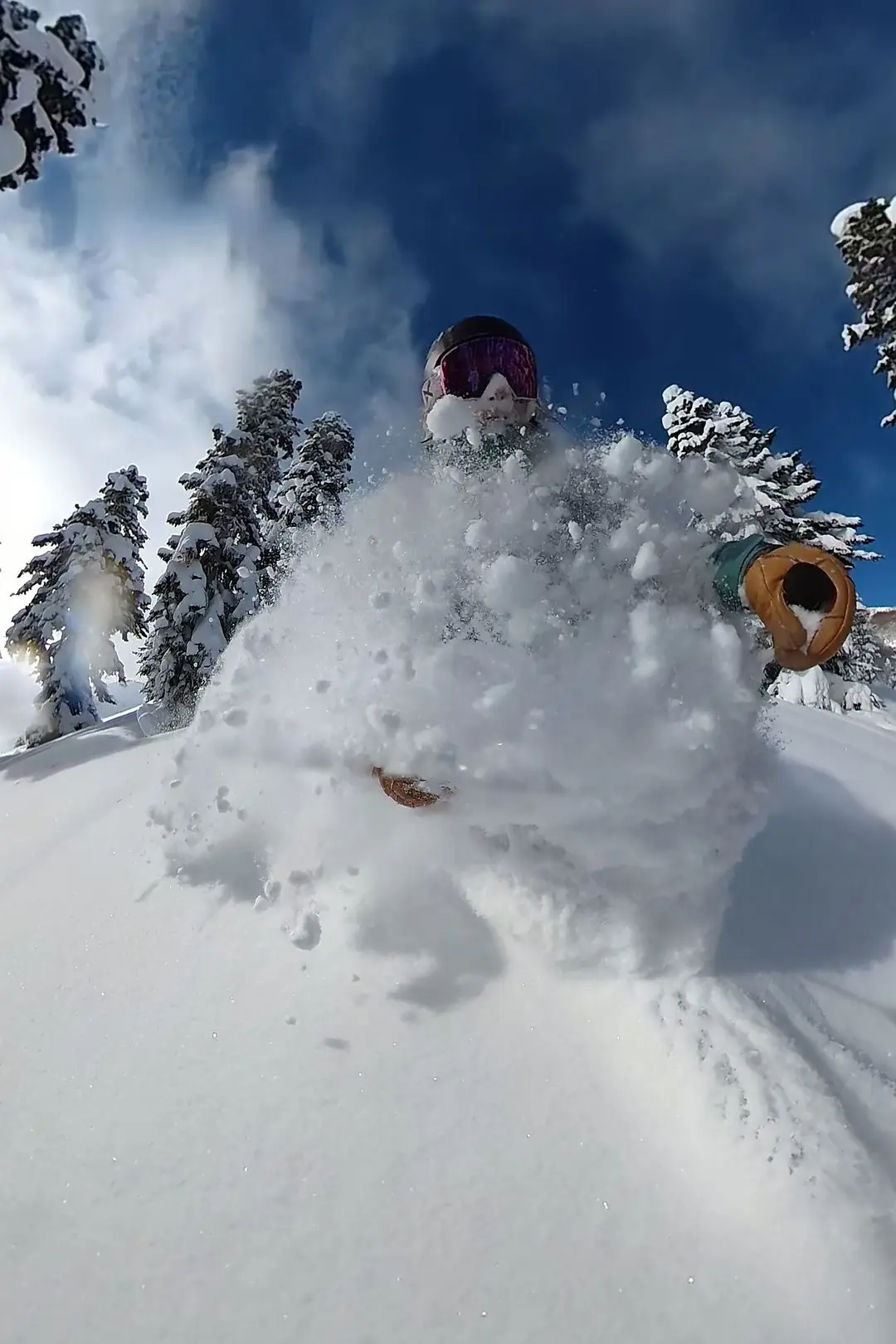 Penguin Powderproject Project X Georgia Freeriding
