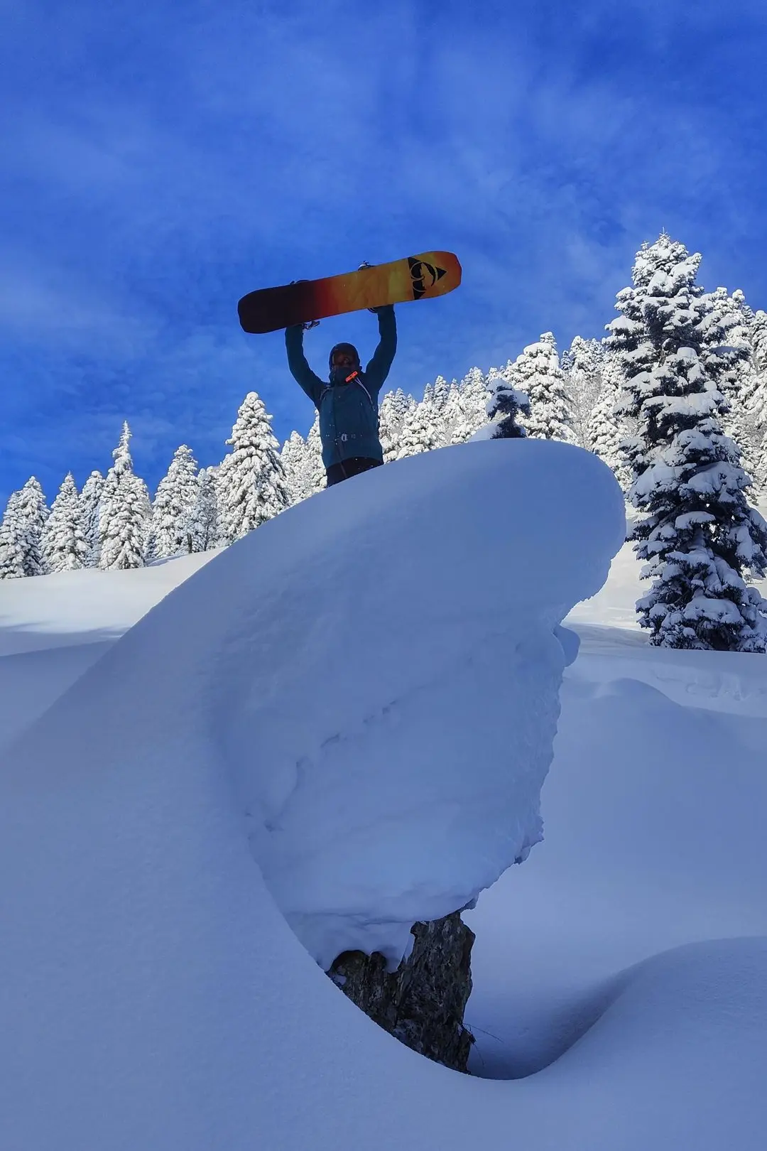 Penguin Powderproject Project X Georgia Snowboard