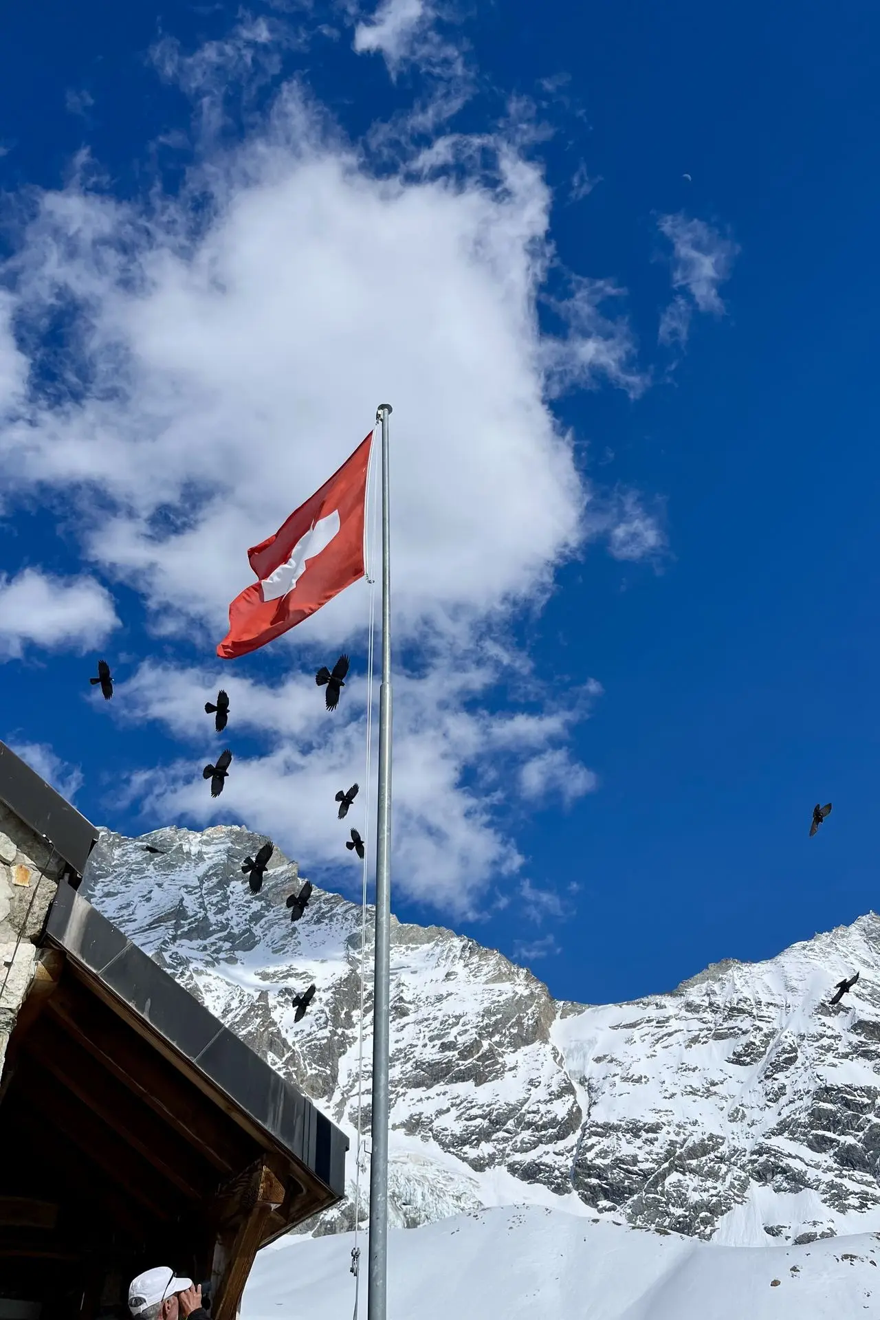 Route Imperial Penguin Powderwear