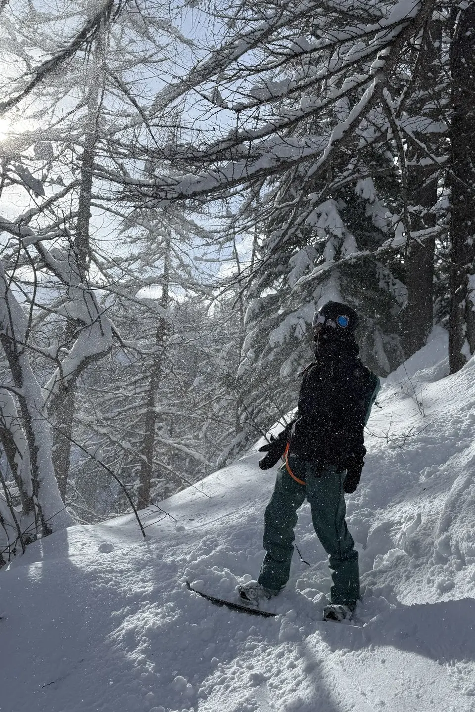 women snowboarder in snow sunshine