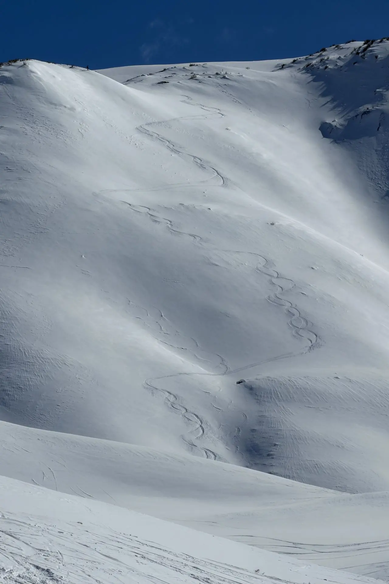 First Line Skiing