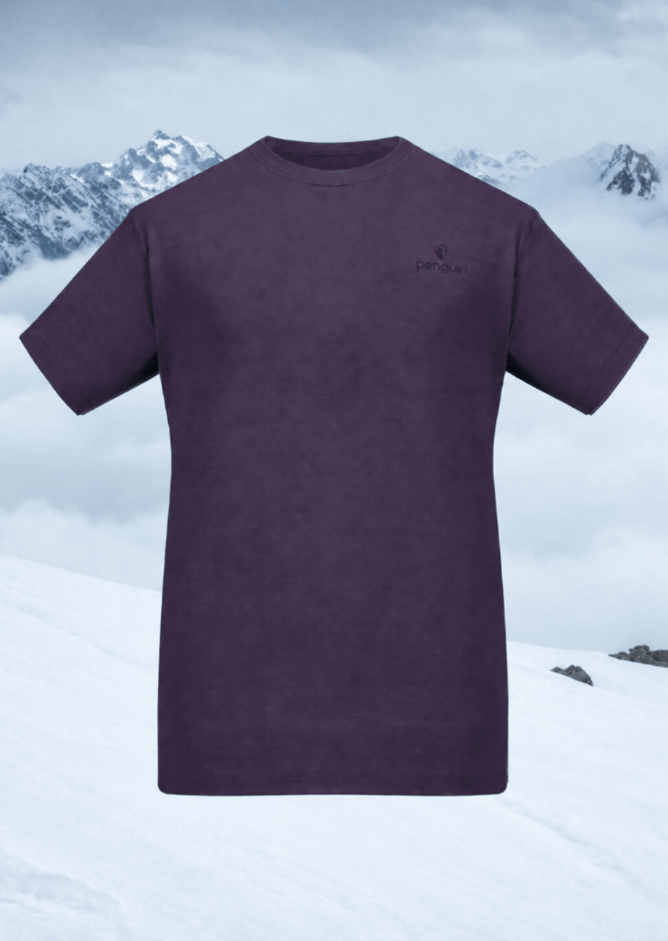 layering animation winter
