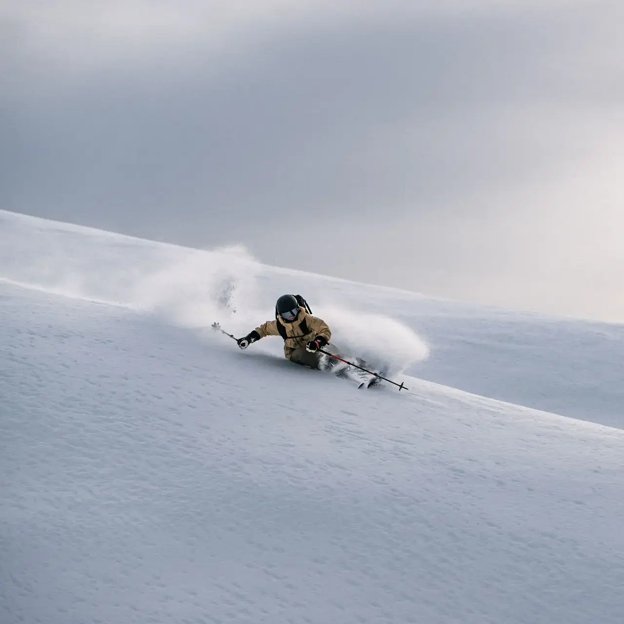 Freeriding action 