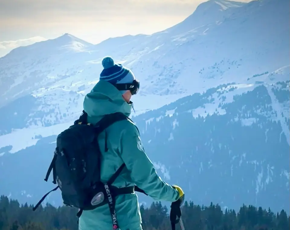 Penguin guide Urs Baumgartner
