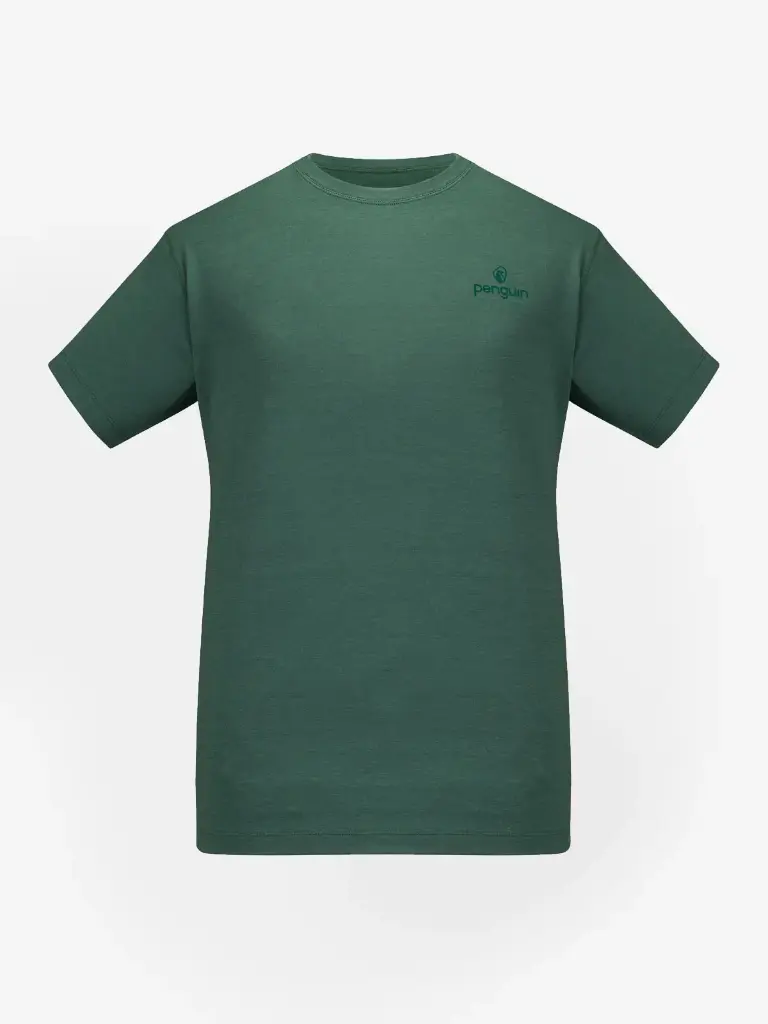 Men Merino Stretch T-Shirt 145gsm