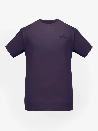 Männer Merino Stretch T-Shirt 145 g/m²