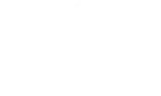 penguin new